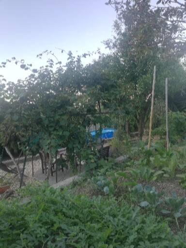 فندق Ca' Clementine Sasso di Bordighera المظهر الخارجي الصورة
